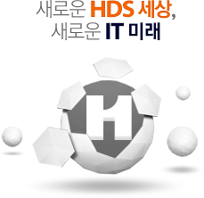 새로운 HDS 세상, 새로운 IT 미래